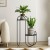 Plant Holders